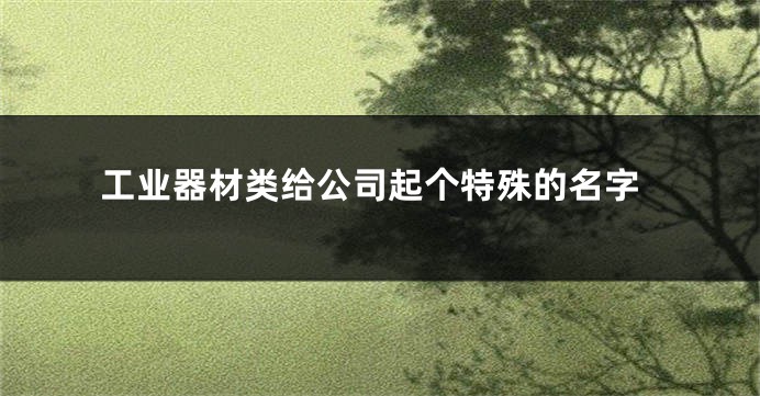 工业器材类给公司起个特殊的名字