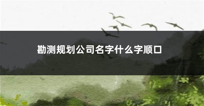 勘测规划公司名字什么字顺口