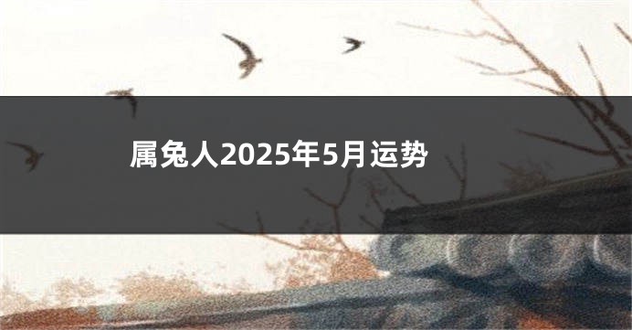 属兔人2025年5月运势