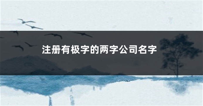 注册有极字的两字公司名字