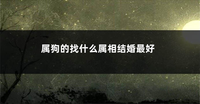 属狗的找什么属相结婚最好