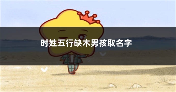 时姓五行缺木男孩取名字