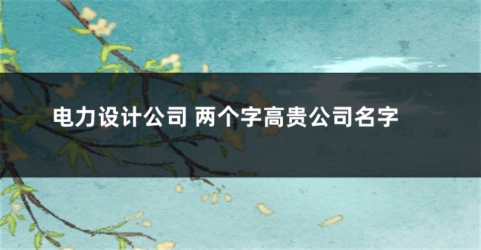 电力设计公司 两个字高贵公司名字