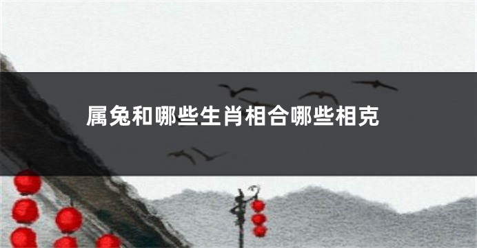 属兔和哪些生肖相合哪些相克