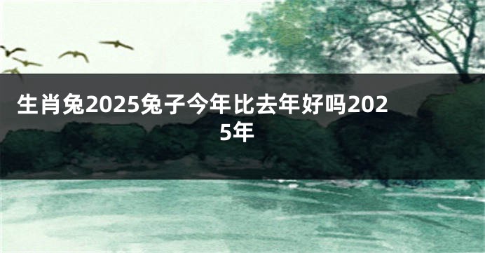生肖兔2025兔子今年比去年好吗2025年