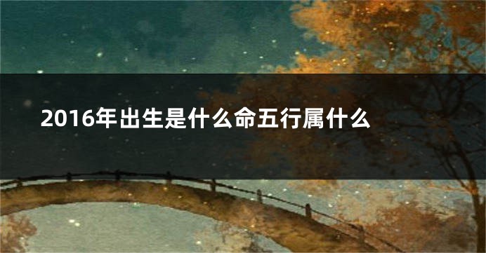 2016年出生是什么命五行属什么 