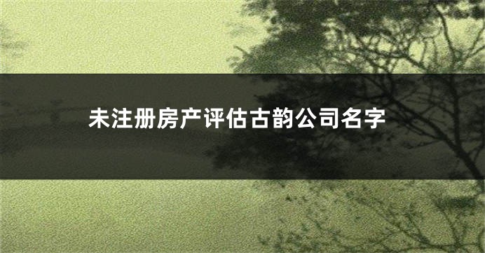 未注册房产评估古韵公司名字