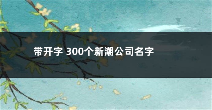 带开字 300个新潮公司名字