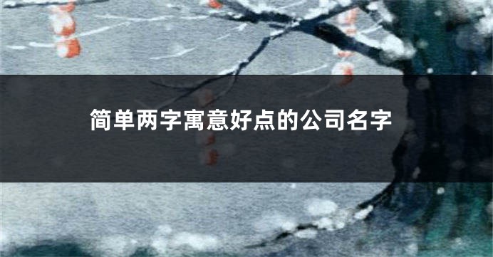 简单两字寓意好点的公司名字