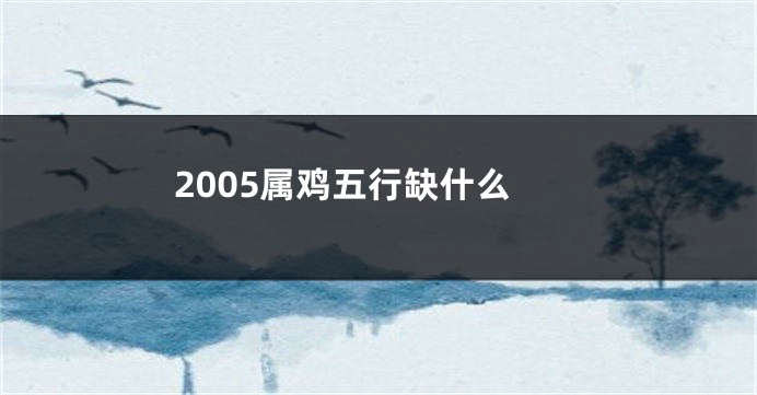 2005属鸡五行缺什么