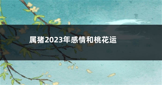 属猪2023年感情和桃花运