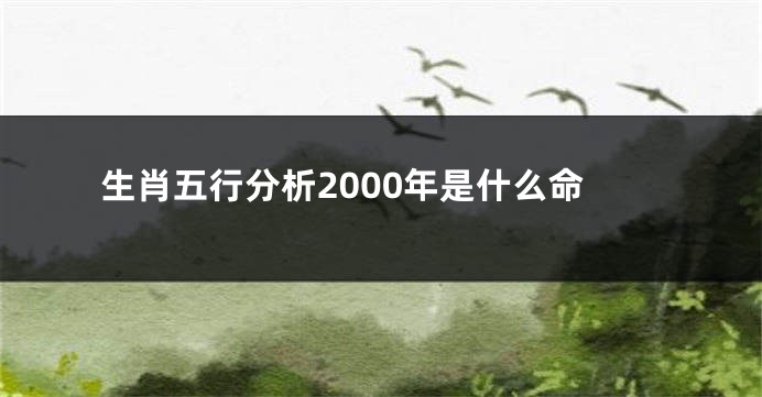 生肖五行分析2000年是什么命