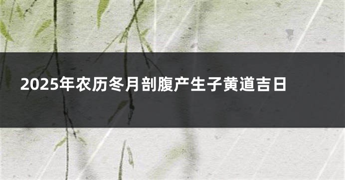 2025年农历冬月剖腹产生子黄道吉日