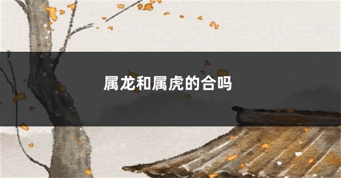 属龙和属虎的合吗