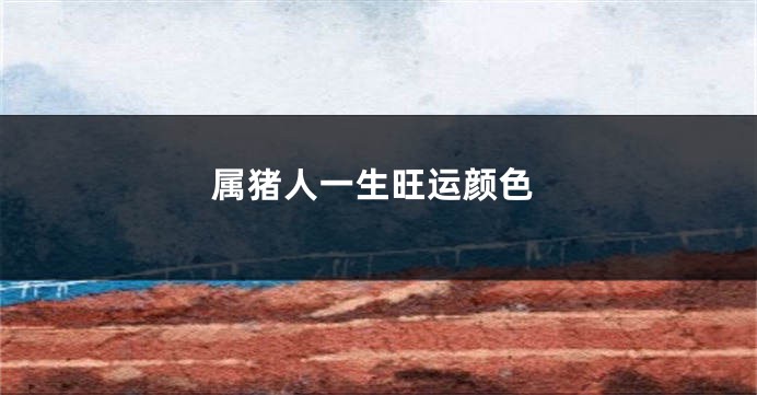 属猪人一生旺运颜色