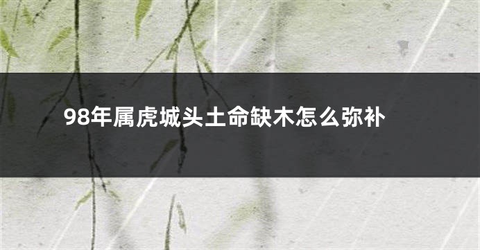 98年属虎城头土命缺木怎么弥补