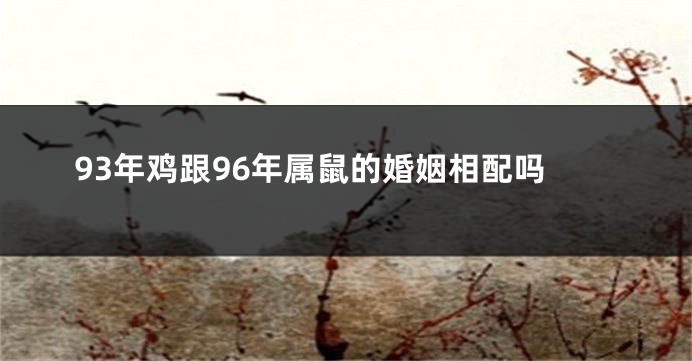 93年鸡跟96年属鼠的婚姻相配吗