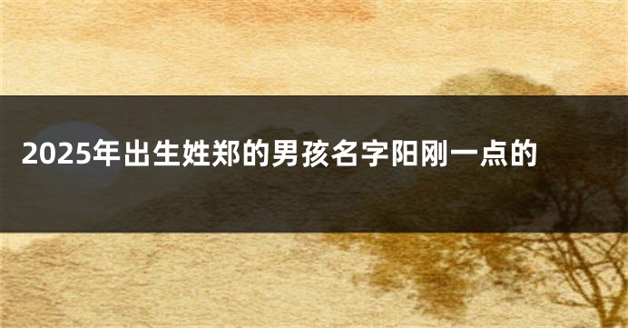 2025年出生姓郑的男孩名字阳刚一点的