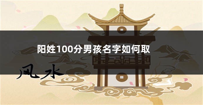 阳姓100分男孩名字如何取