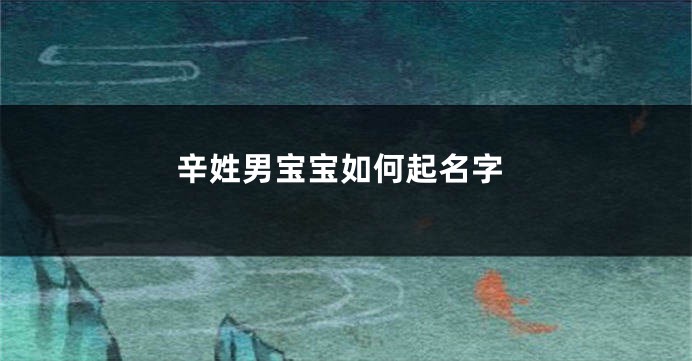 辛姓男宝宝如何起名字