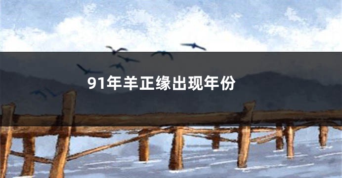91年羊正缘出现年份