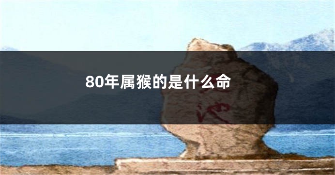 80年属猴的是什么命