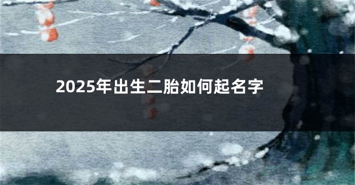 2025年出生二胎如何起名字