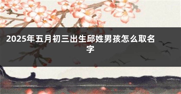 2025年五月初三出生邱姓男孩怎么取名字
