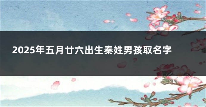2025年五月廿六出生秦姓男孩取名字