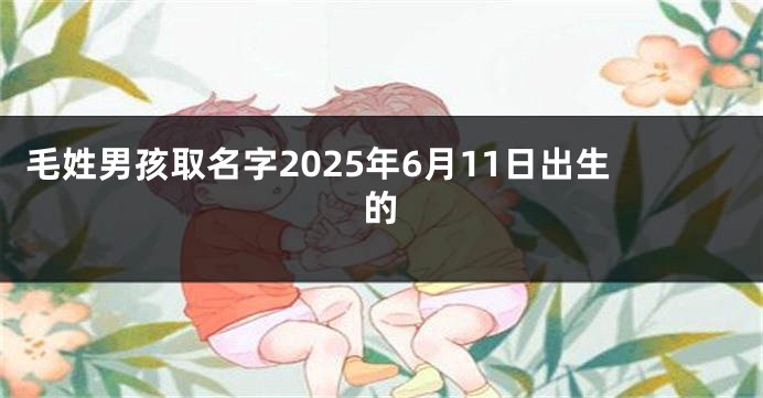 毛姓男孩取名字2025年6月11日出生的