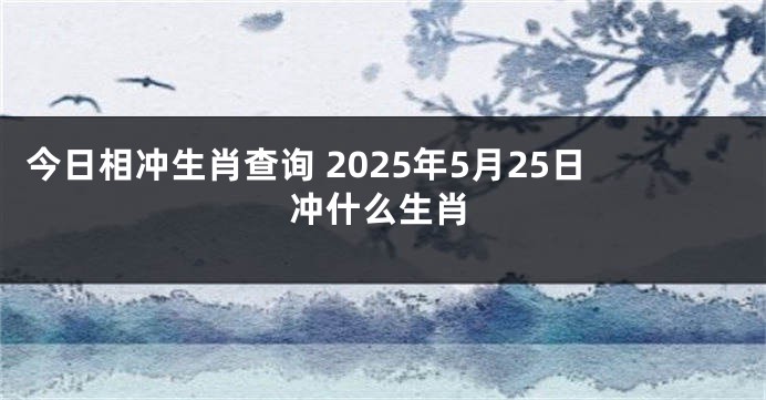 今日相冲生肖查询 2025年5月25日冲什么生肖