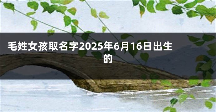 毛姓女孩取名字2025年6月16日出生的