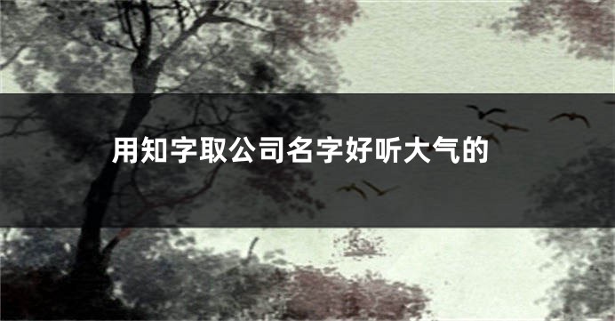 用知字取公司名字好听大气的