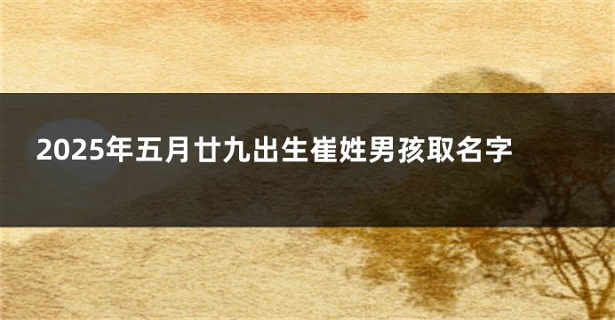 2025年五月廿九出生崔姓男孩取名字
