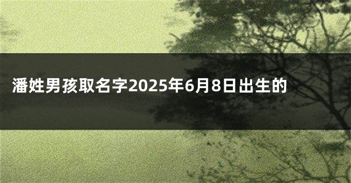 潘姓男孩取名字2025年6月8日出生的