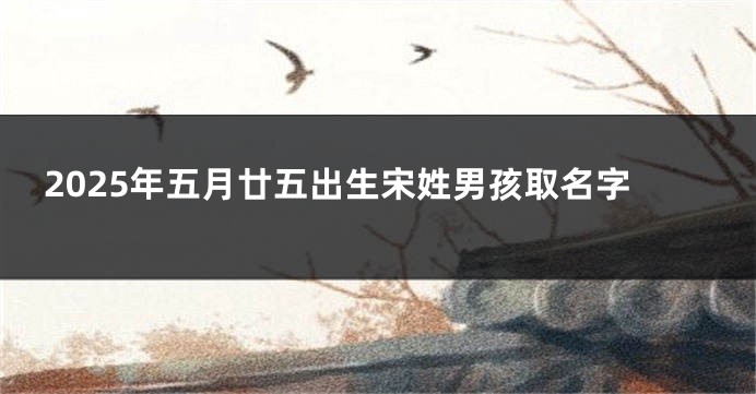 2025年五月廿五出生宋姓男孩取名字