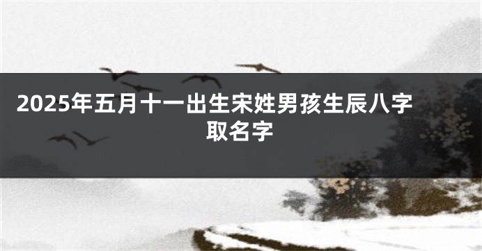 2025年五月十一出生宋姓男孩生辰八字取名字