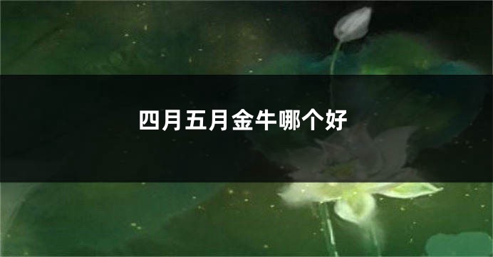 四月五月金牛哪个好