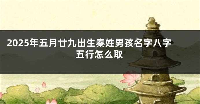 2025年五月廿九出生秦姓男孩名字八字五行怎么取