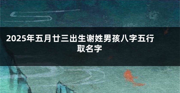 2025年五月廿三出生谢姓男孩八字五行取名字