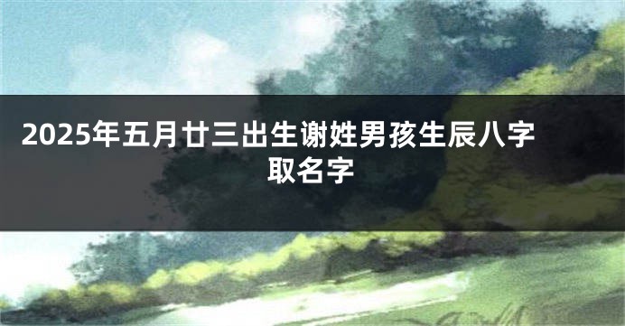2025年五月廿三出生谢姓男孩生辰八字取名字