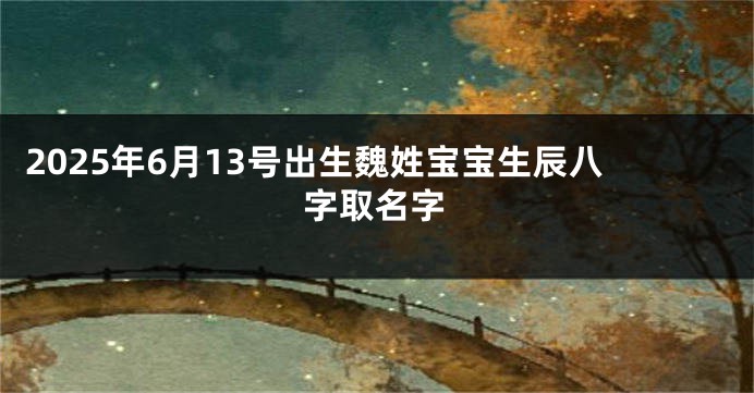 2025年6月13号出生魏姓宝宝生辰八字取名字