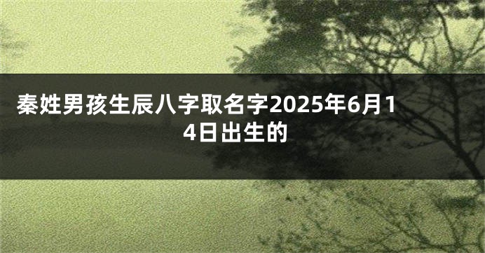 秦姓男孩生辰八字取名字2025年6月14日出生的