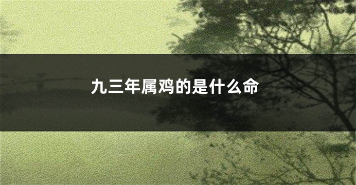 九三年属鸡的是什么命