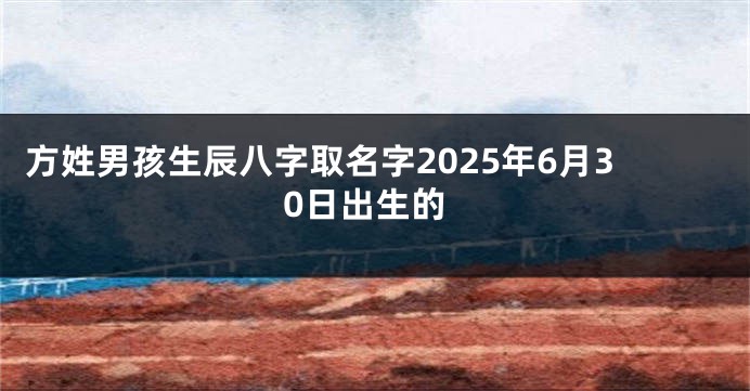 方姓男孩生辰八字取名字2025年6月30日出生的