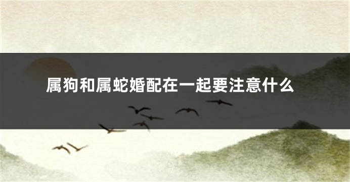 属狗和属蛇婚配在一起要注意什么