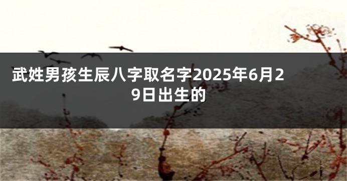 武姓男孩生辰八字取名字2025年6月29日出生的