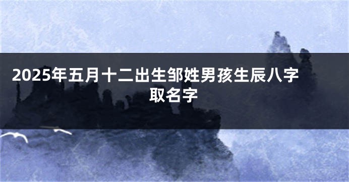 2025年五月十二出生邹姓男孩生辰八字取名字