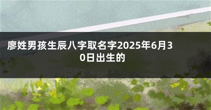 廖姓男孩生辰八字取名字2025年6月30日出生的