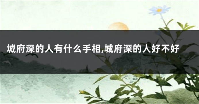 城府深的人有什么手相,城府深的人好不好